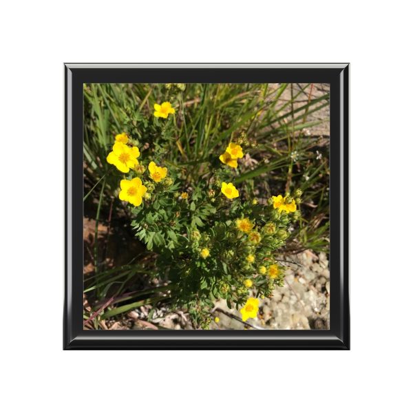 Shrubby Cinquefoil Jewelry Box