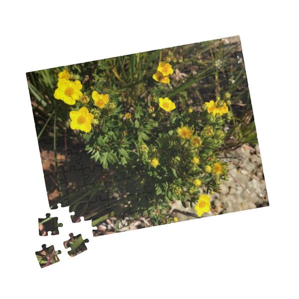 Shrubby Cinquefoil Puzzle (110, 252, 500, 1014-piece)